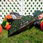 Декоративная крышка крот