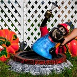 Декоративная крышка для люка Декоративная крышка для люка