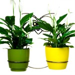 Настенная подставка для цветов 