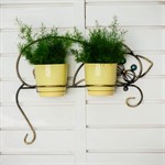 Цветочница настенная 