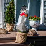 Колпак для укрытия растений 