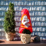 Колпак для растений 