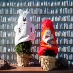 Укрывной колпак 10034