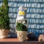 Декоративный колпак для растений  Декоративный колпак для растений