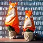 Колпак для растений 10030 