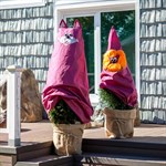 Укрывные колпаки для растений 