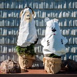 Чехол для укрытия растений 