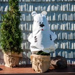 Декоративный колпак для растений 