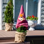 Декоративный колпак для растений  Декоративный колпак для растений