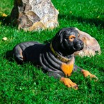 Садовая фигура собака 