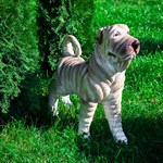 Фигура собаки для сада 