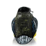 Фигура синичка из стеклопластика 