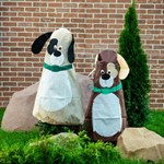 Колпак для растений 