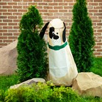 Колпак для хвойников 