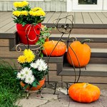 Цветочница кованая  Цветочница кованая