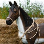 Фигура конь из стеклопластика Фигура конь из стеклопластика