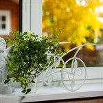 Подоконная цветочница  Подоконная цветочница