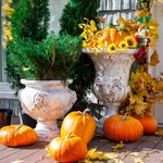 Горшок для цветов