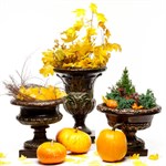 Вазоны для растений