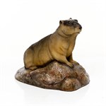 Фигура Сурок  Фигура Сурок