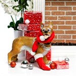 Новогодняя фигура собаки  Новогодняя фигура собаки