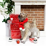 Новогодняя фигура Шарпей 