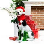 Фигура Дог F01153