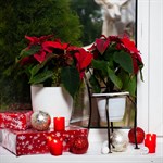 Кованая цветочница 