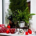 Подоконная подставка для цветов 