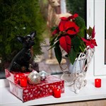 Цветочница на подоконник 