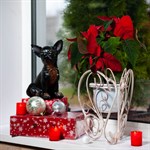 Цветочница 95-034