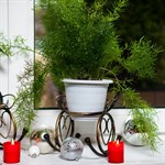 Цветочница 95-037