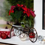 Цветочница 95-038