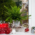 Кованая цветочница 