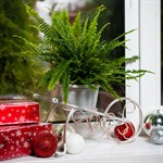 Подставка для цветов кованая 