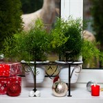 Цветочница 95-043