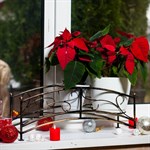 Кованая подставка для цветов  Кованая подставка для цветов