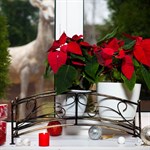 Подставка для цветов на подоконник  Подставка для цветов на подоконник