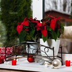 Цветочница 95-028 Цветочница 95-028