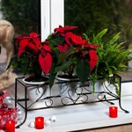 Цветочница 95-029