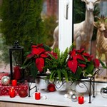 Цветочница 95-029