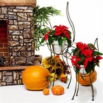 Цветочница котенок 