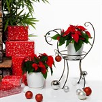 Цветочница 