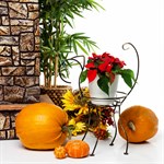 Кованая цветочница 