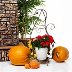 Кованая цветочница  Кованая цветочница