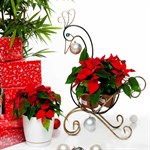 Цветочница 95-048