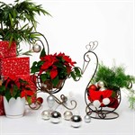 Цветочница кованая 