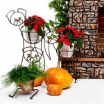 Кованая цветочница  Кованая цветочница