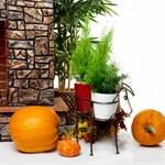 Цветочница кованая 