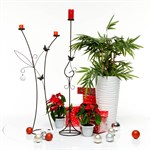 Кованый подсвечник  Кованый подсвечник